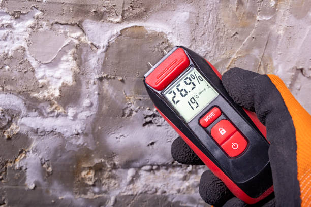 Best Local Mold Removal Service  in Mount Arlington, NJ