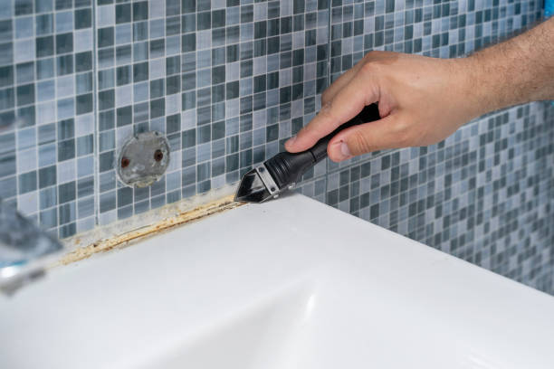 Best Mold Damage Repair  in Mount Arlington, NJ