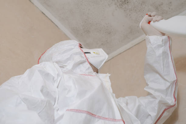 Best Crawl Space Mold Removal  in Mount Arlington, NJ